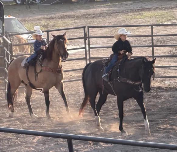 Rodeo time in Alpena
